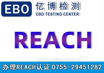 reach认证机构办理流程